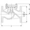 Check valve Series: 35.003 Type: 655 Steel Flange PN40